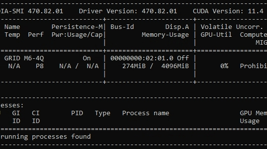 YOLO Docker GPU