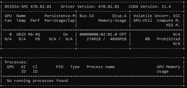 YOLO Docker GPU